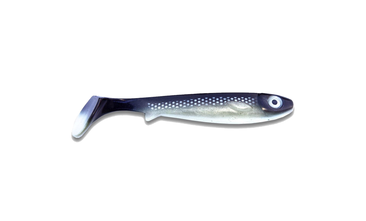 Flatnose Shad 19cm 50g 15 Flatnose Shad 19cm 50g - Bild 15