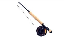 Daiwa D Pike Fly Combo 9'0'' 7/8 #9 Pike