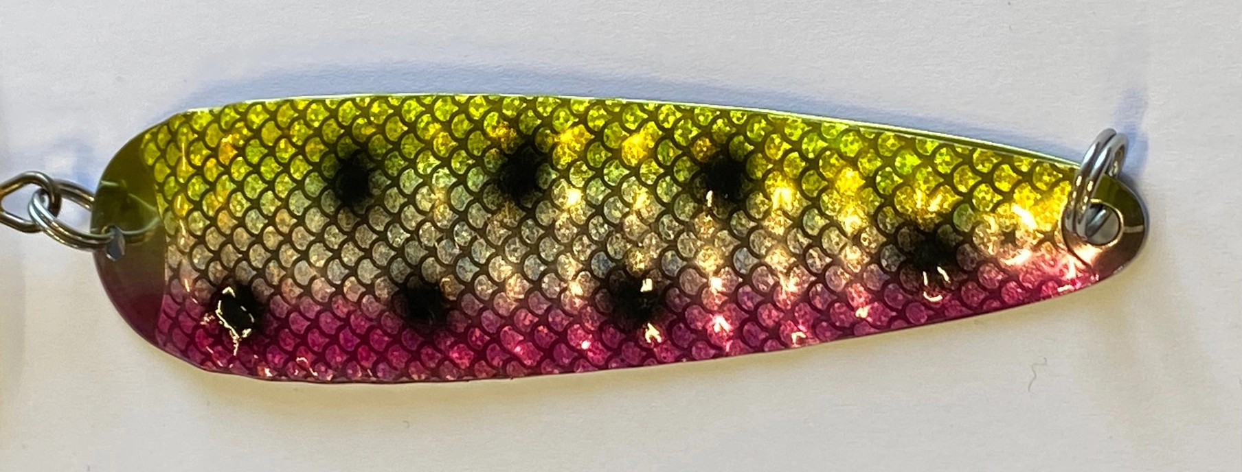 ISMO Qwack 35 ISMO Qwack - Bild 35