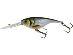 Westin BabyBite DR Crankbait -Fisketillbehör affär P046 271 x1 large