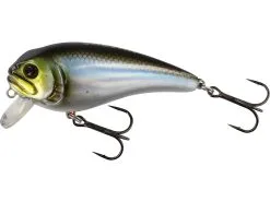 Westin Fatbite Crankbait -Fisketillbehör affär P047 271 x1 large