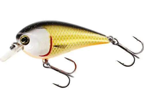 Westin BassBite 2.5 Squarebill 7cm 16g Floating 6 Westin BassBite 2.5 Squarebill 7cm 16g Floating - Bild 6