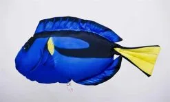 Mjukisdjur Palettkirurg