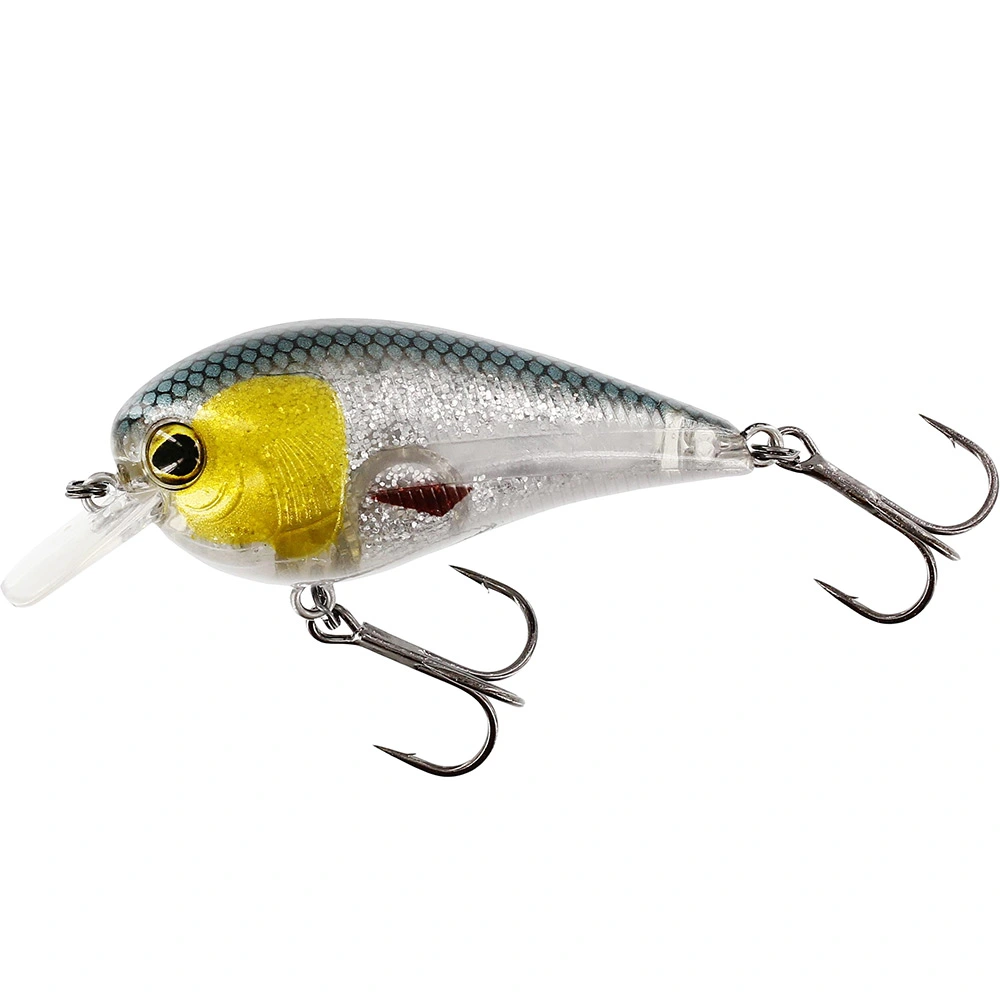 Westin BassBite 2.5 Squarebill 7cm 16g Floating 2 Westin BassBite 2.5 Squarebill 7cm 16g Floating - Bild 2