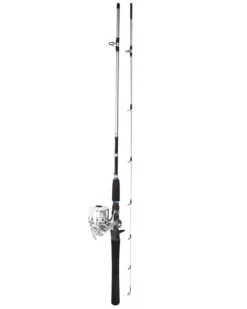 Daiwa Silvercast Combo