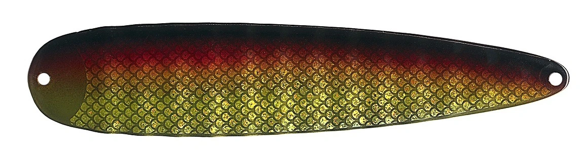 Ismo Magnum 15 Ismo Magnum - Bild 15