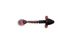 Monkey Fry 16-pack 16 Monkey Fry 16-pack -Fisketillbehör affär monkey fry motorblock