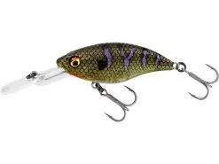 Westin BuzzBite Crankbait