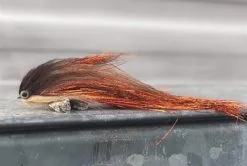 Sussi Stridh Enkelkroksfluga Ledad